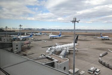ana機内食は国際線と国内線で食べられる！簡単調理で家でも味わえる