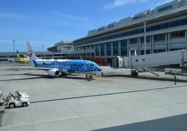 エクスペディアで予約した航空券はどうやってキャンセルするのか？