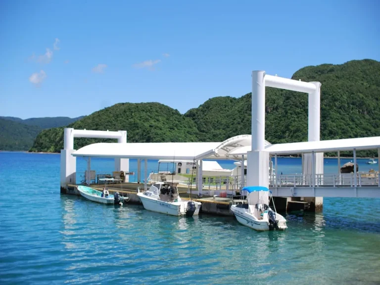 iriomotejima feeryport1
