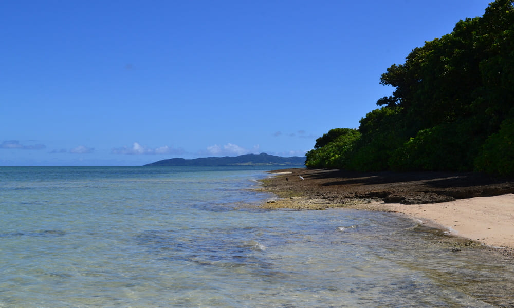 竹富島